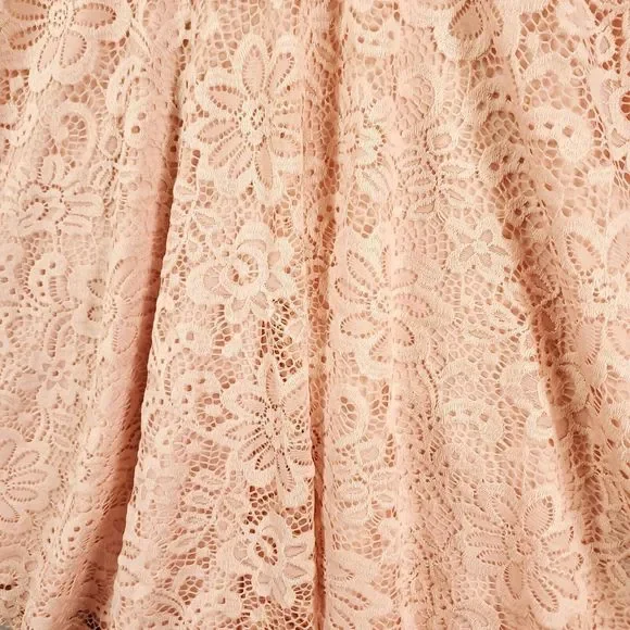 New By & By Dress Juniors 1 Blush Pink Lace Sheer Lined Back Zip - Picture 4 of 15
